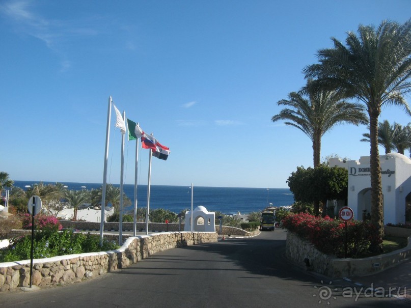 Круглосуточное веселье))))))))