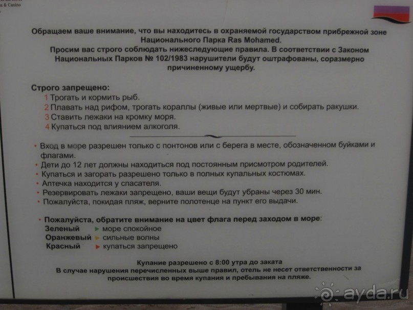 Круглосуточное веселье))))))))