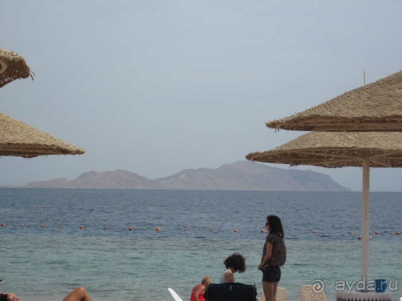 Круглосуточное веселье))))))))