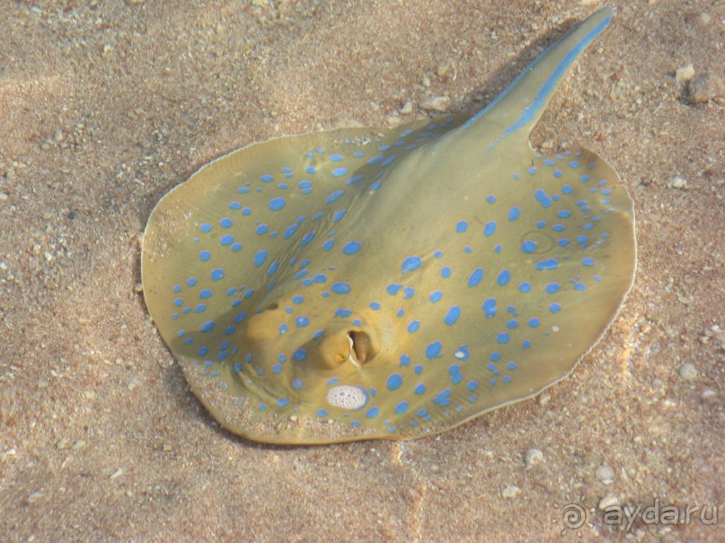 Круглосуточное веселье))))))))