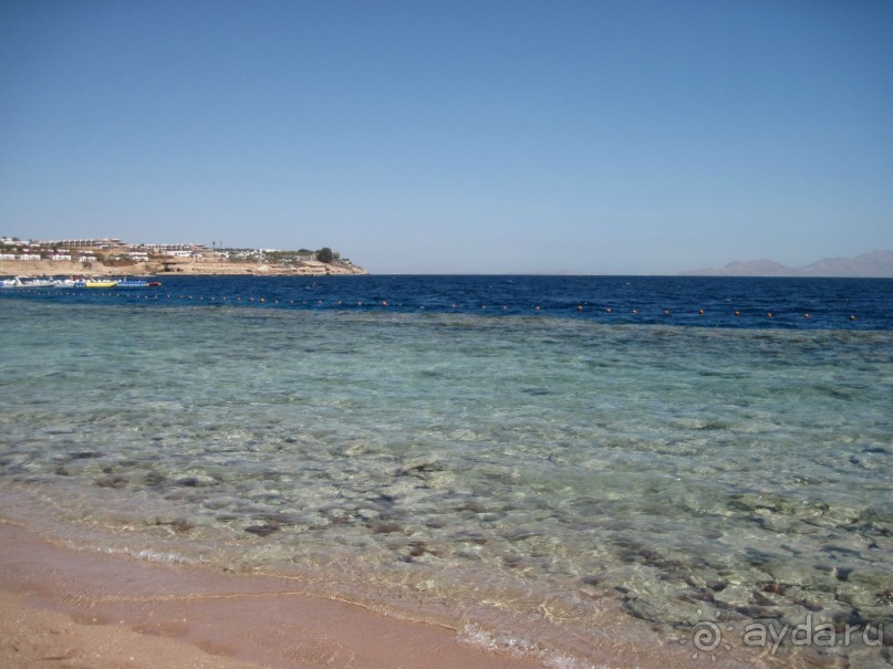 Круглосуточное веселье))))))))