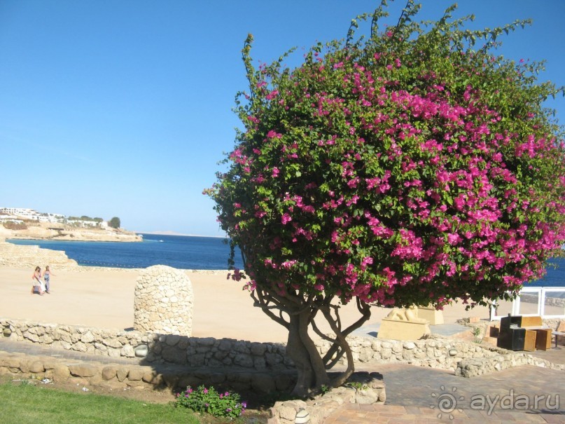 Круглосуточное веселье))))))))