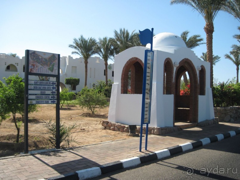 Круглосуточное веселье))))))))