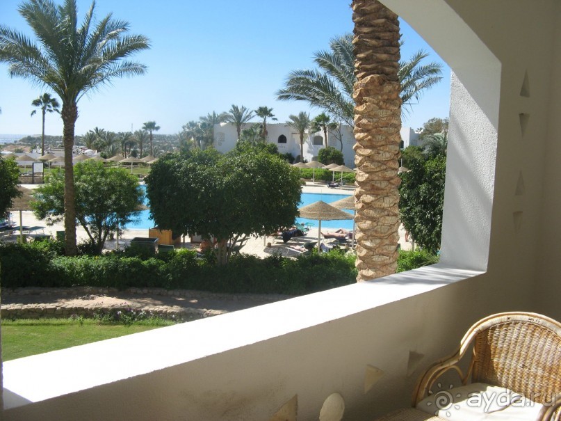 Круглосуточное веселье))))))))