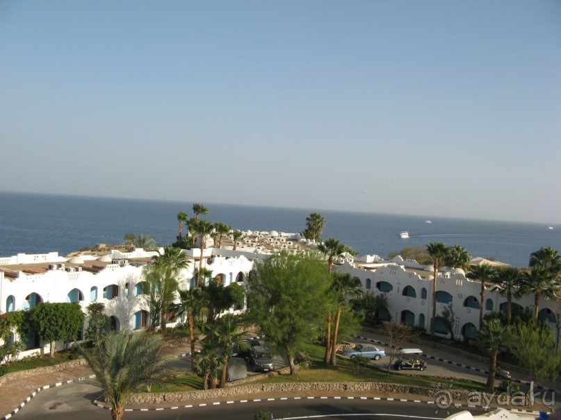 Круглосуточное веселье))))))))