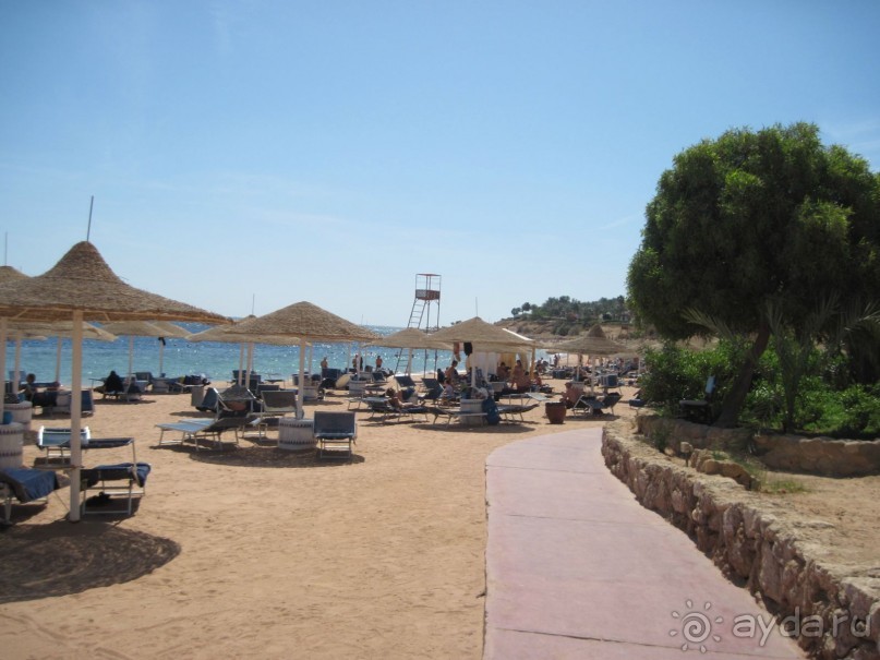 Круглосуточное веселье))))))))