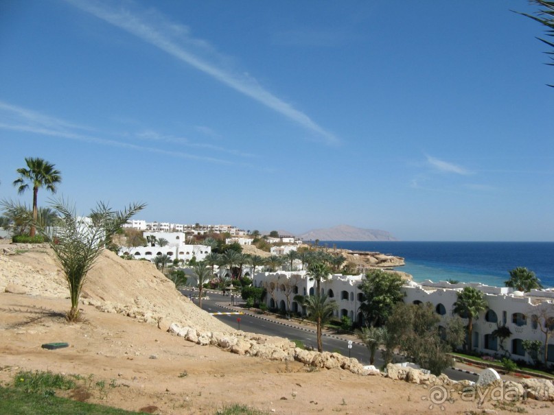 Круглосуточное веселье))))))))