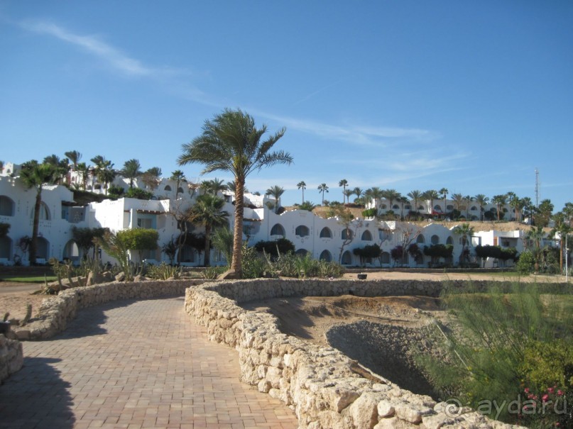 Круглосуточное веселье))))))))