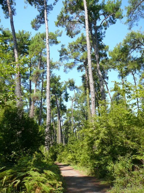 фото Icelandair Hotel Fludir