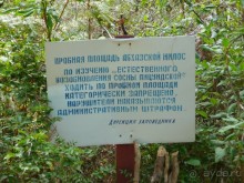 Отдых  в  Маяке