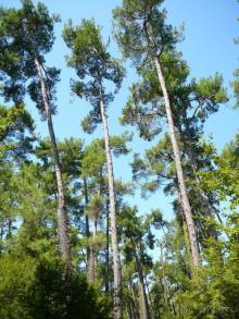 фото Icelandair Hotel Fludir