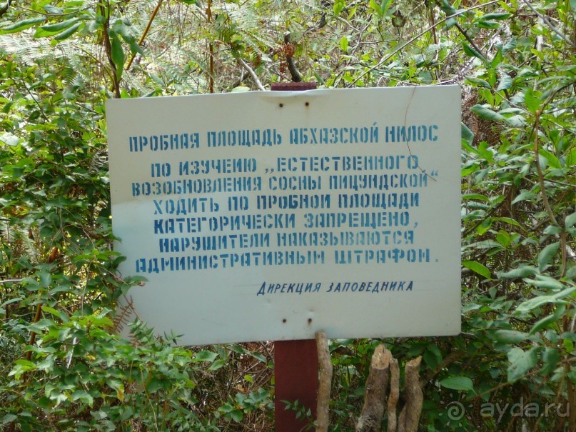 Отдых  в  Маяке