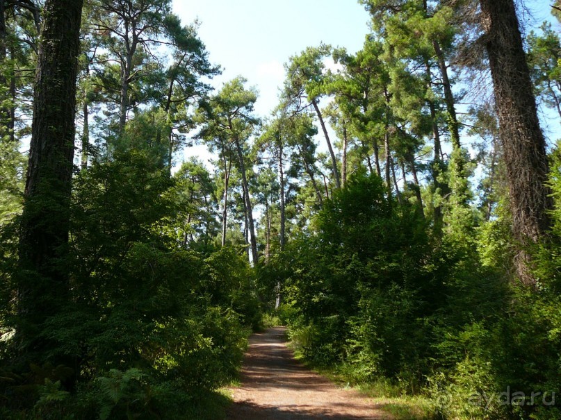 Отдых  в  Маяке