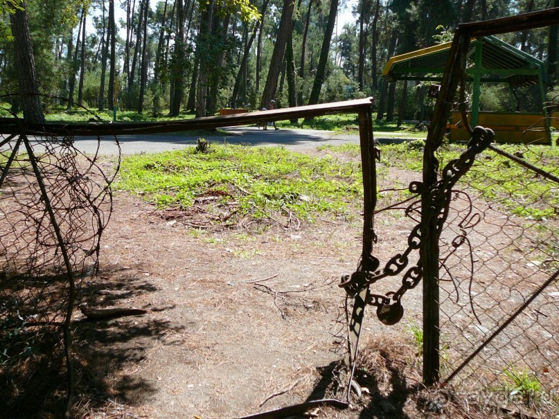 Отдых  в  Маяке