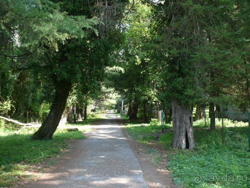 фото Ривьера