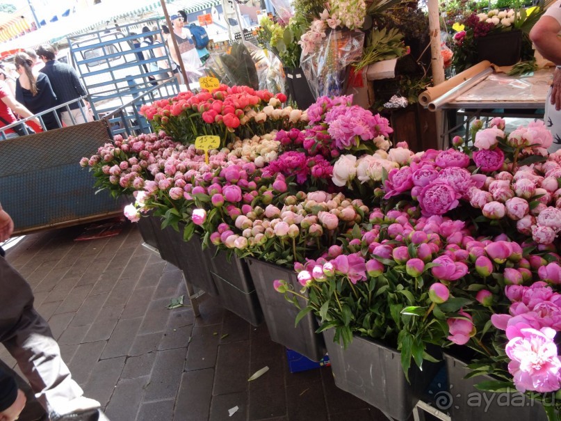 Все дороги ведут в Рим,а так же в Милан,Геную, Монако,Ниццу,Канны ,Флоренцию,Венецию