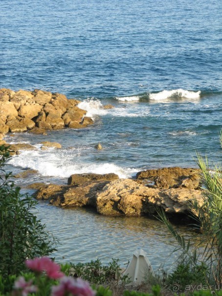 Кипр+Израиль! Шикарно!