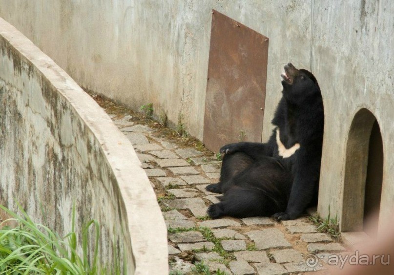 Путешествие во Вьетнам