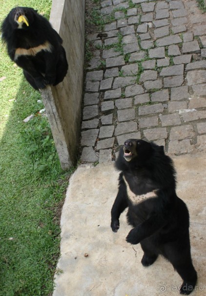 Путешествие во Вьетнам