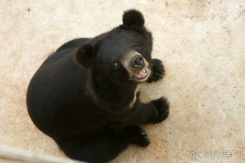 Путешествие во Вьетнам