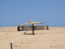 отвратительный оель