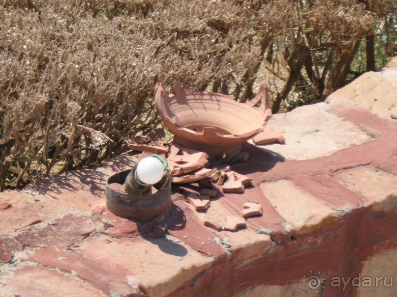 отвратительный оель