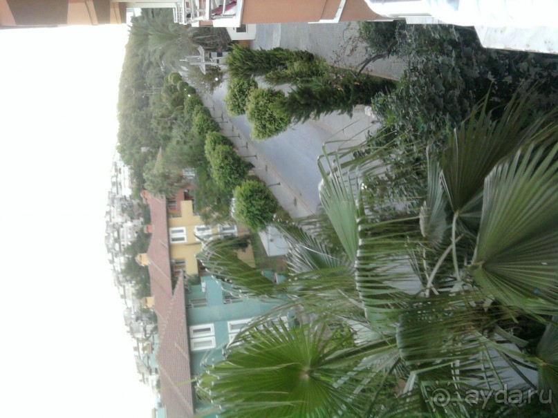 Cолнце море и все!