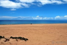 Круиз на Гавайи.