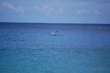 Круиз на Гавайи.