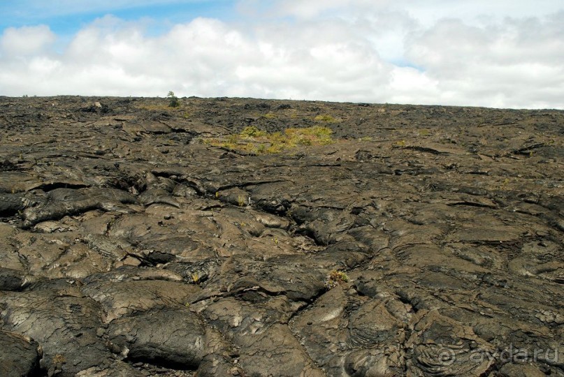 Круиз на Гавайи.