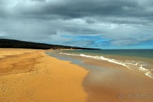 Круиз на Гавайи.