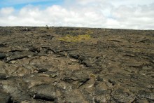 Круиз на Гавайи.