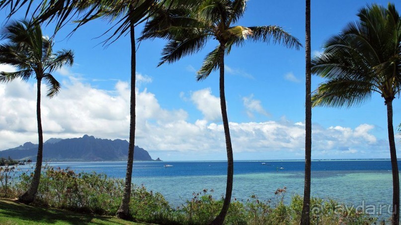 Круиз на Гавайи.