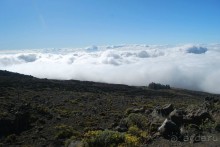 Круиз на Гавайи.