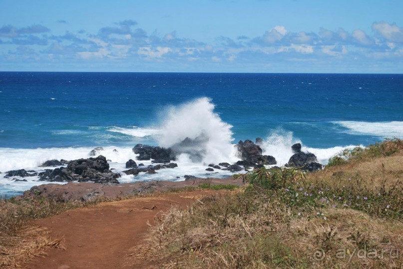 Круиз на Гавайи.