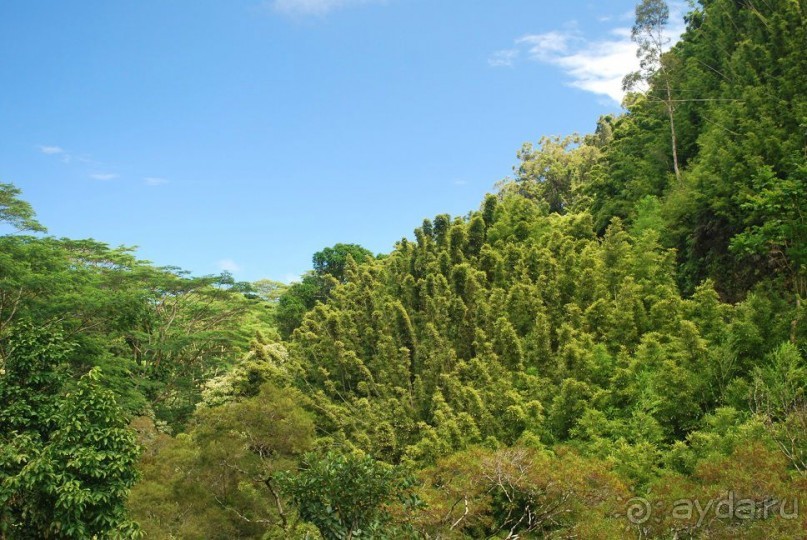 Круиз на Гавайи.