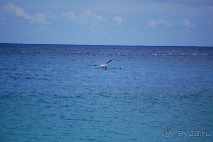 Круиз на Гавайи.