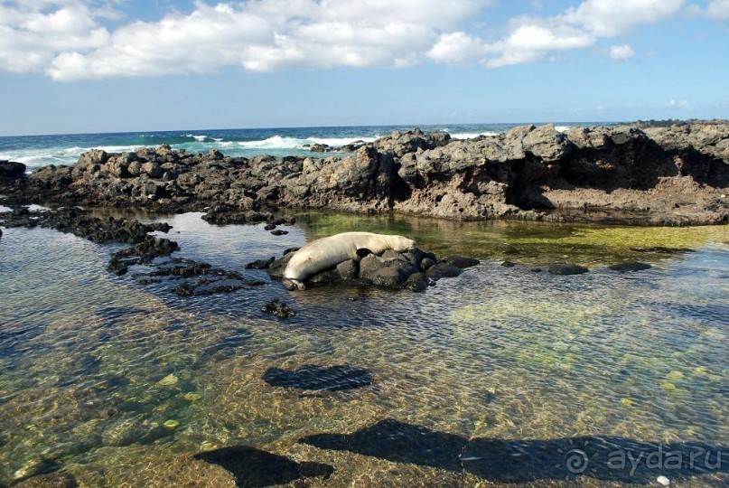 Круиз на Гавайи.