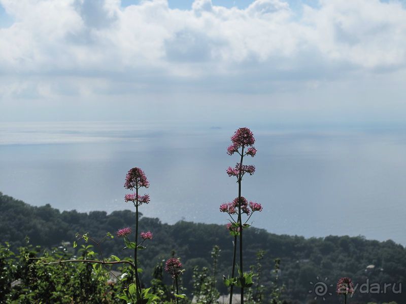 Милан-Генуя-Портофино-Комо-Вадуц-Прага за три дня на Toyota Corolla 