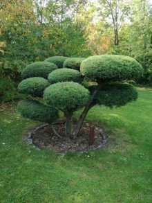 Botanicus - средневековая деревня и ботсад в 30 км от Праги