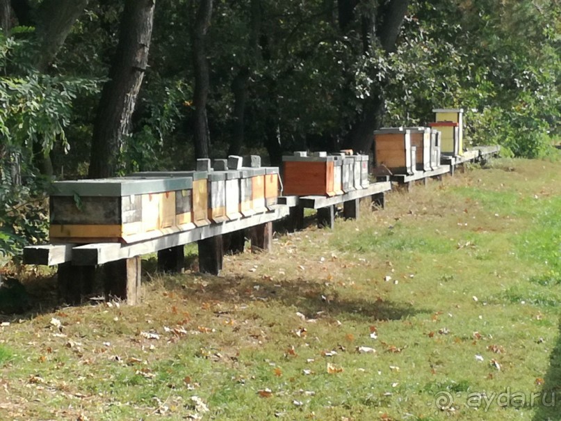 Botanicus - средневековая деревня и ботсад в 30 км от Праги