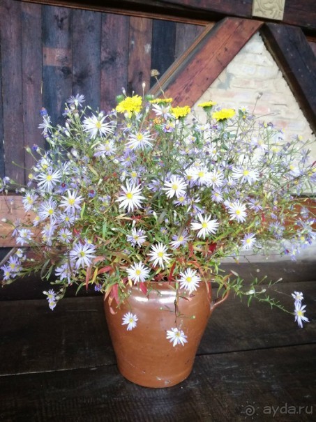 Botanicus - средневековая деревня и ботсад в 30 км от Праги