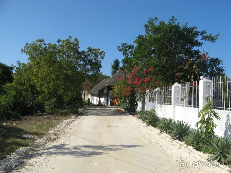 Здесь не говорят по русски