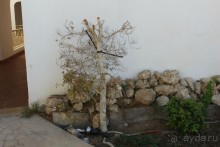 фото Continental Plaza Beach Resort