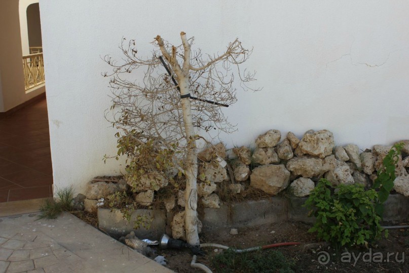 Грязь, очеререди, хамство и еще раз грязь ждет вас в это отеле