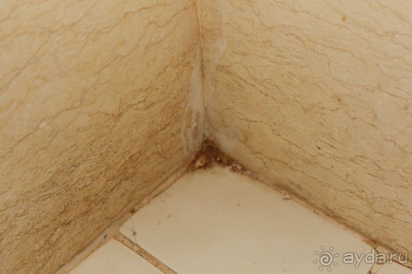 Грязь, очеререди, хамство и еще раз грязь ждет вас в это отеле