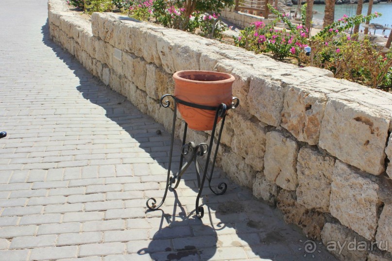 Грязь, очеререди, хамство и еще раз грязь ждет вас в это отеле