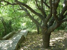 улица  Черноморская, музей Паустовского