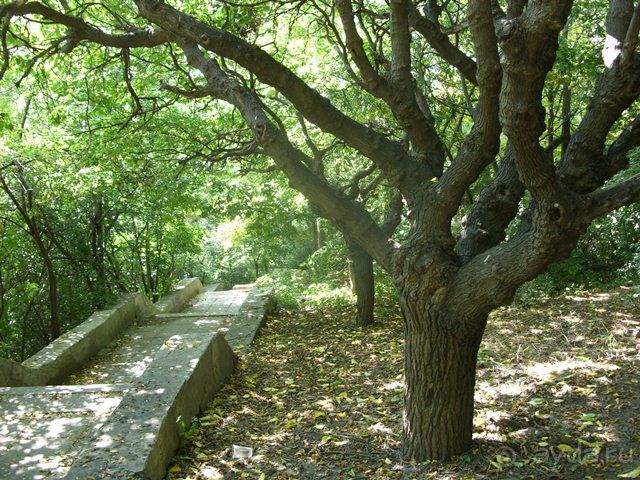 улица  Черноморская, музей Паустовского