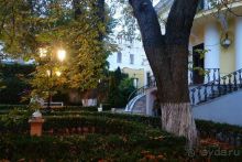  Здесь легко дышится